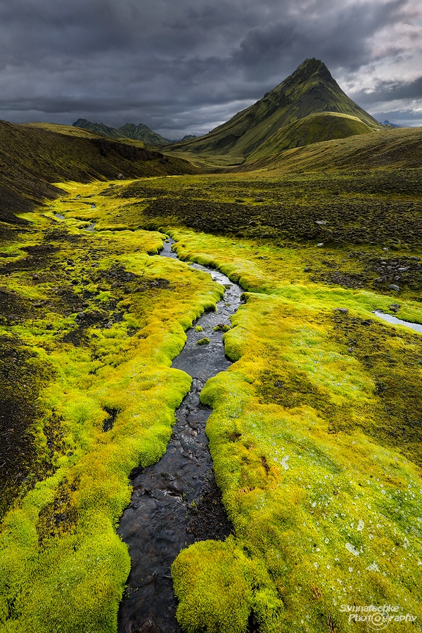 Stream At Laugavegur Highlands Iceland Europe Synnatschke